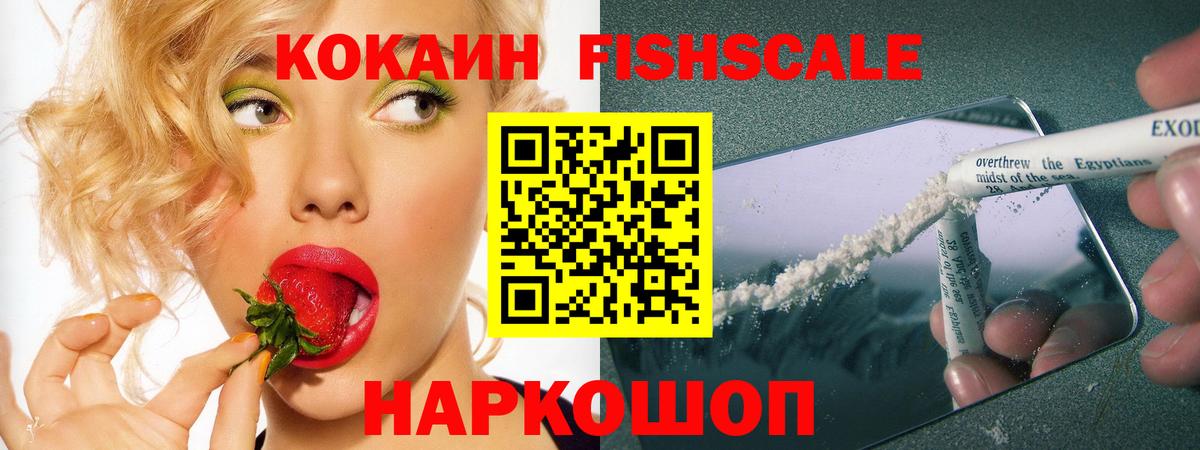 COCAIN Fish Scale  COCAIN  Вход с VPN  Ефремов  Кокаин 98% 