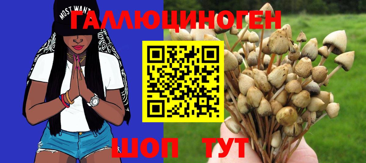 Псилоцибиновые грибы Cubensis  Вход с VPN  Ефремов 